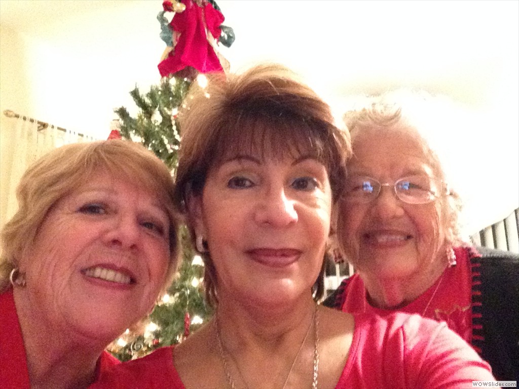 55+ Christmas Party 2013 11