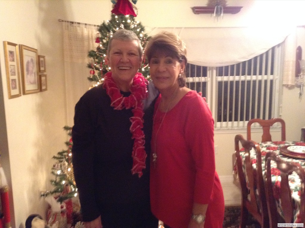 55+ Christmas Party 2013 2